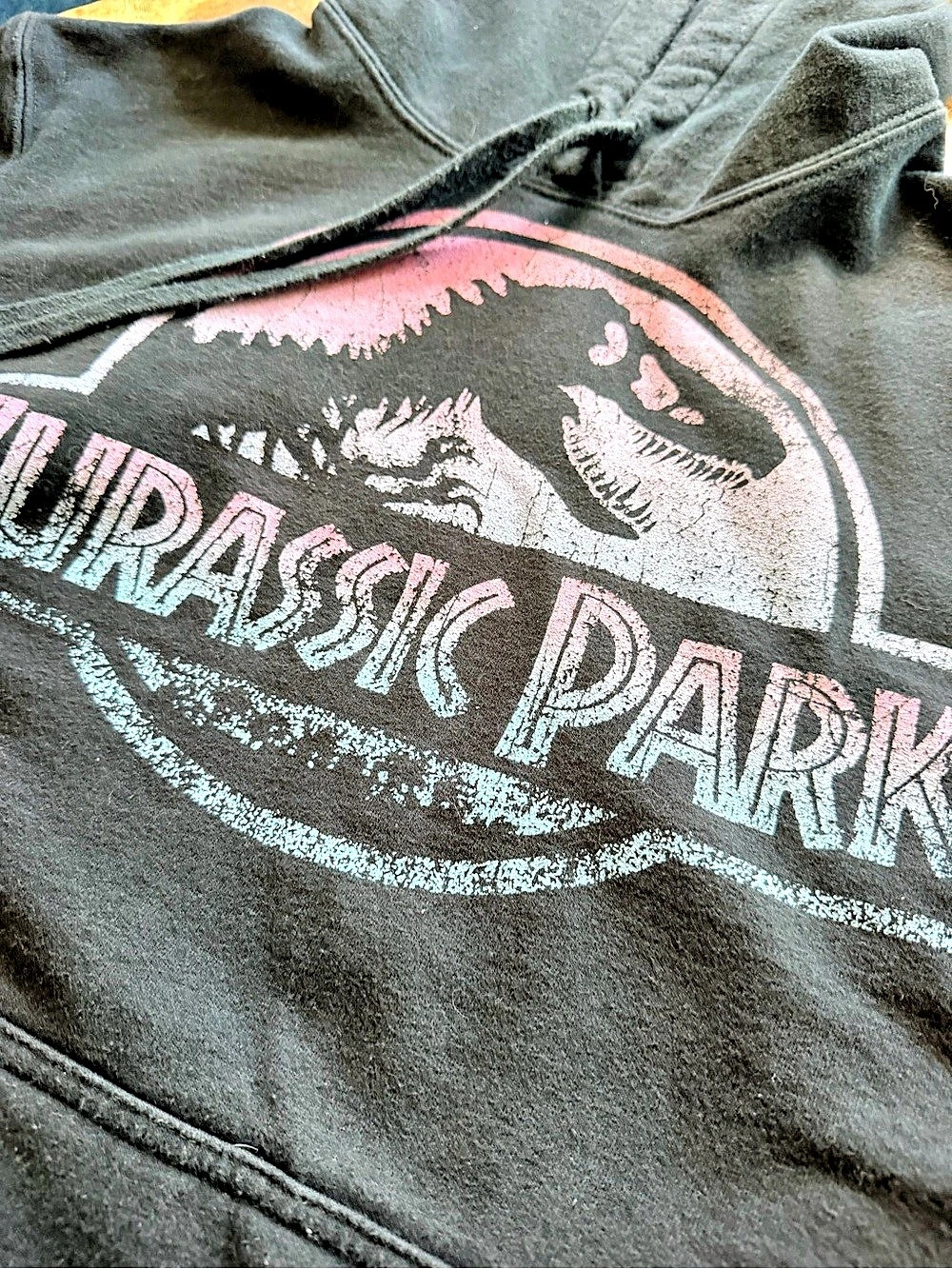 Men's Jurassic Park Ombre Fade Logo Pull Over Hoodie Size Large - Picture 3 of 5